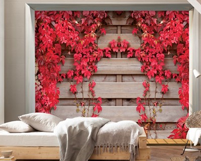 Rood blad herfst behang