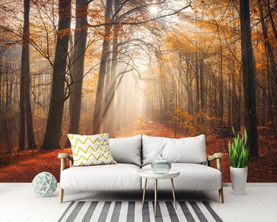 Herfst Landschap Behang