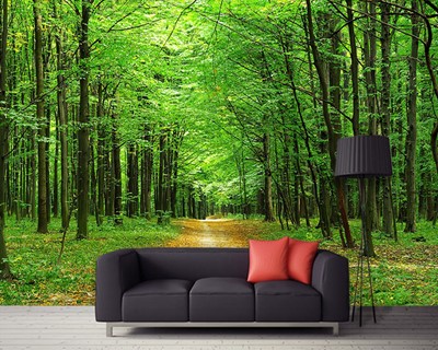 Boslandschap Wallpaper Afbeelding