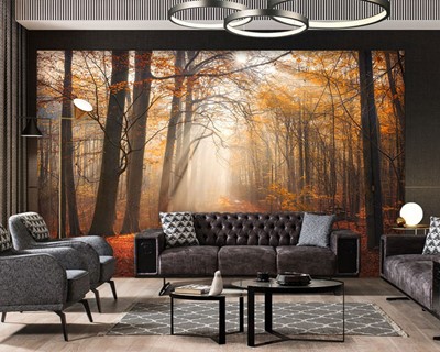 Herfst Landschap Behang