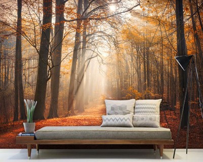 Herfst Landschap Behang