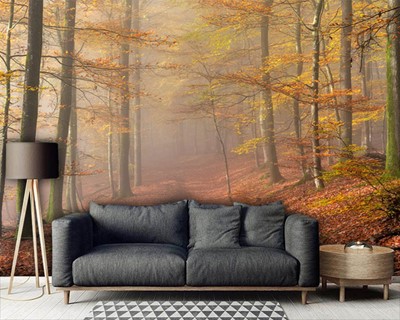 Herfst bos landschap muur poster