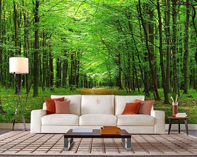 Boslandschap Wallpaper Afbeelding