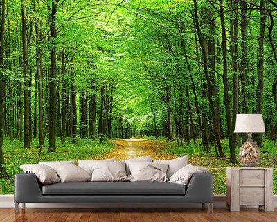 Boslandschap Wallpaper Afbeelding