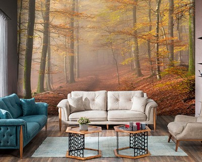 Herfst bos landschap muur poster