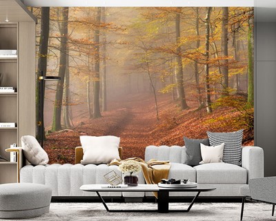 Herfst bos landschap muur poster