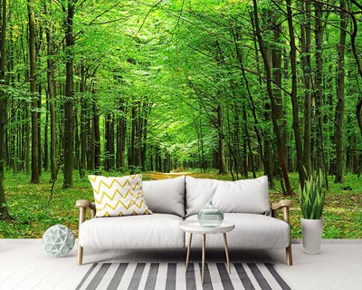 Boslandschap Wallpaper Afbeelding
