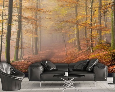 Herfst bos landschap muur poster