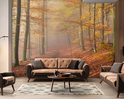 Herfst bos landschap muur poster