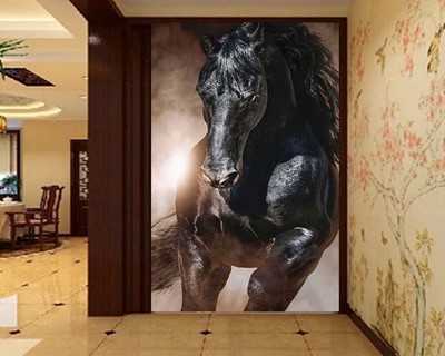 Zwart Paard Foto Wallpaper