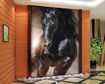 Zwart Paard Foto Wallpaper