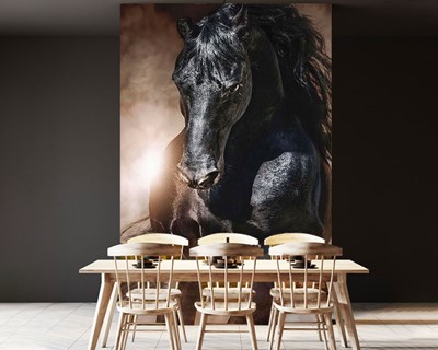 Zwart Paard Foto Wallpaper