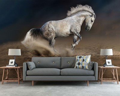 Wit Paard Foto Wallpaper