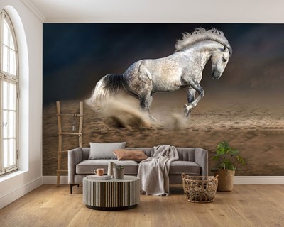 Wit Paard Foto Wallpaper