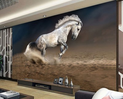 Wit Paard Foto Wallpaper