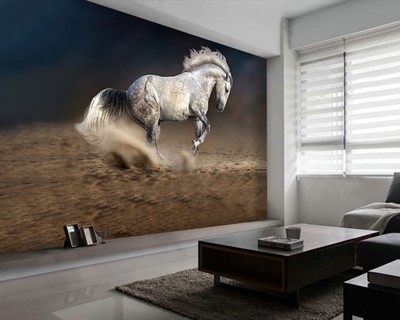 Wit Paard Foto Wallpaper