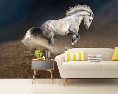 Wit Paard Foto Wallpaper