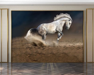 Wit Paard Foto Wallpaper