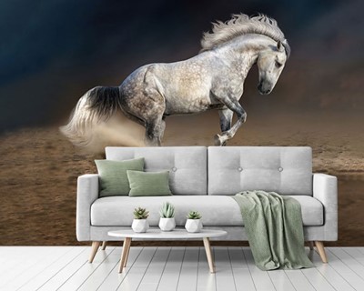 Wit Paard Foto Wallpaper