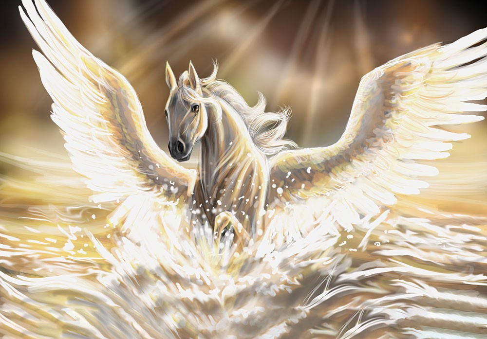 Pegasus Paard Foto Wallpaper