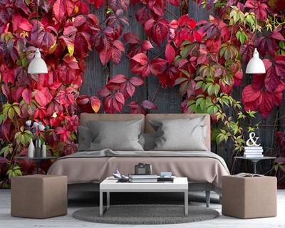 Red Leaf Ivy Wallpaper