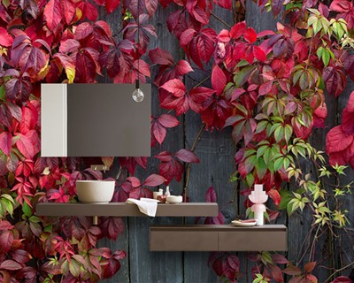 Red Leaf Ivy Wallpaper