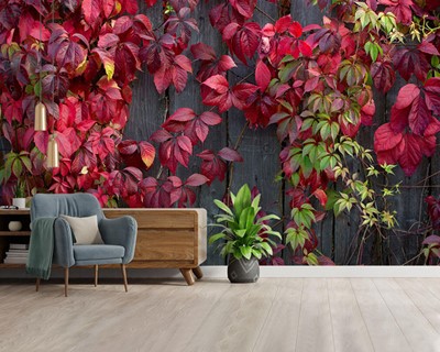 Red Leaf Ivy Wallpaper