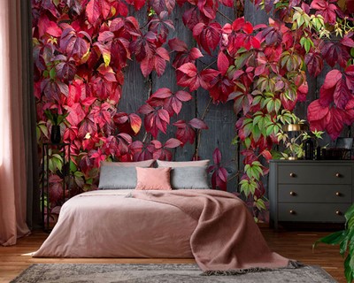 Red Leaf Ivy Wallpaper