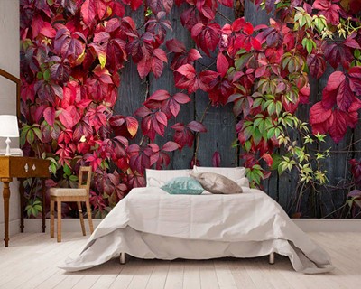 Red Leaf Ivy Wallpaper