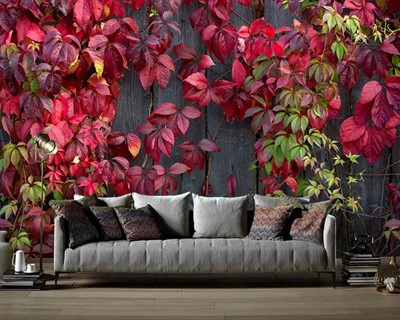 Red Leaf Ivy Wallpaper