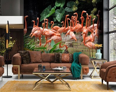 Flamingo achtergronden