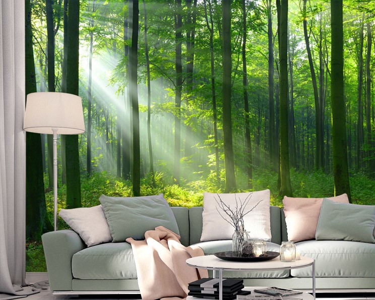 Eigenwijs vat Luxe licht filter bos behang 3D-behangen | 3D-achtergronden