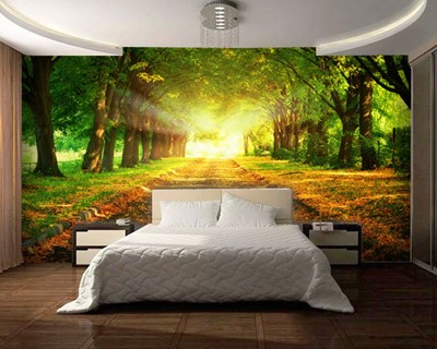 Forest Road With Borders Scenic Wallpaper