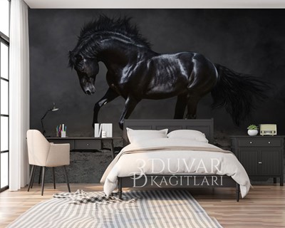 3D Zwart Paard Behang