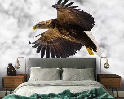 Flying Eagle Wallpaper 3D