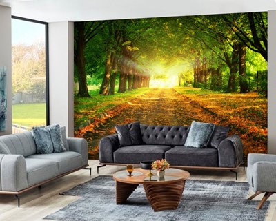 Forest Road With Borders Scenic Wallpaper