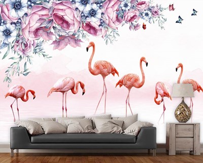 Flamingo's achtergrond