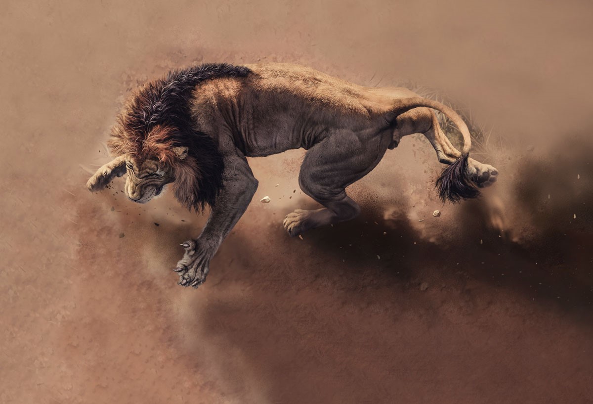 Lion Theme Wallpaper