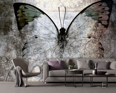 Vlinder op beton behang