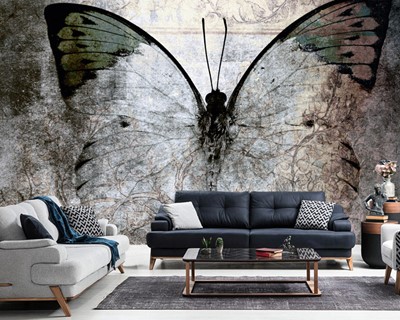 Vlinder op beton behang