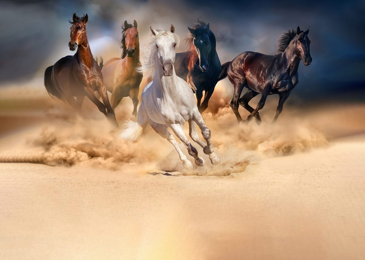 Rennende paarden 3D-achtergrond