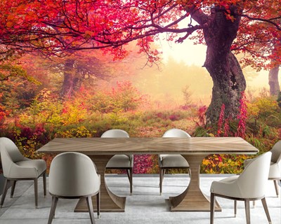 Rood Blad Bomen Behang