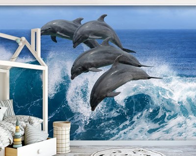 Dolfijn Vissen Foto Wallpaper