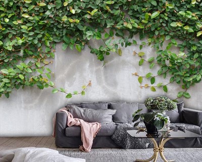 3D Ivy Beton Behang
