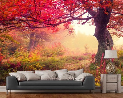 Rood Blad Bomen Behang