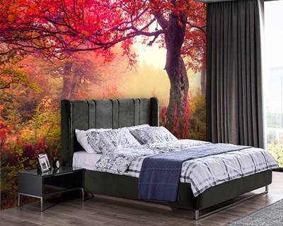 Rood Blad Bomen Behang