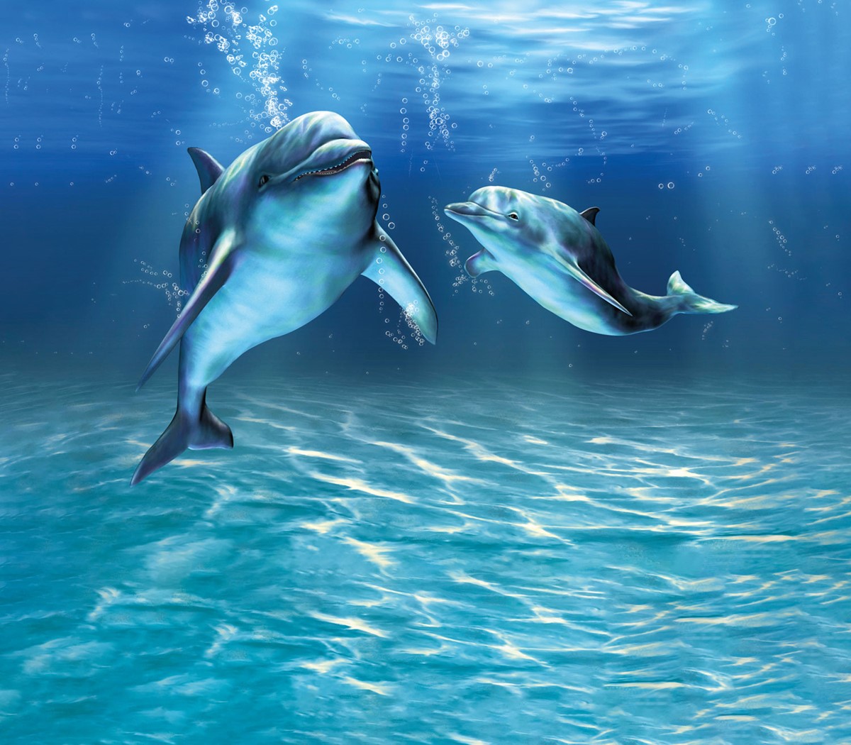 Dolfijn Vissen 3D Achtergrond