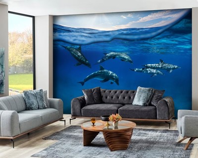 Dolfijn Vis 3D Achtergrond