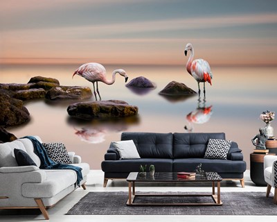 Still Water Flamingo Wallpaper