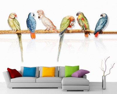 schattig papegaai behang